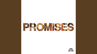 Promises Radio Version [upl. by Jahncke]