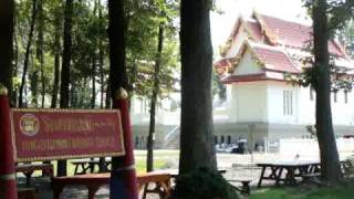 Theravada Buddhist Monks Chanting [upl. by Hpsoj]