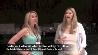 Bodegas Callia in San JuanArgentina The Wine Ladies TV March 2013 [upl. by Naxela]