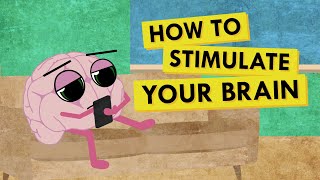 How to Give Your Brain the Stimulation It Needs [upl. by Spitzer347]