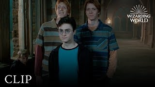 Fred and George Hatch a Plan  Harry Potter and the Order of the Phoenix [upl. by Verner591]