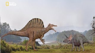 National Geographic  Spinosaurus Dinosaur Bigger Than T Rex  New Documentary HD 2018 [upl. by Ednalrym]