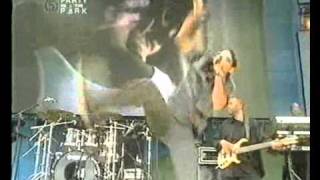 Shaggy It Wasnt Me Live Rik Rok Rayvon  Party in the Park 2002 [upl. by Etty]