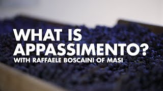 What is Appassimento With Raffaele Boscaini of Masi  Sip Trip Shorts [upl. by Notluf]