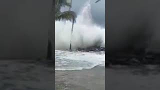 batya dana in odisha asanta samudra lahari dana sea bhitarkanika cyclone shorts shortvideo [upl. by Willtrude]