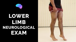 Lower Limb Neurological Examination  OSCE guide old version  UKMLA  CPSA [upl. by Aenel435]