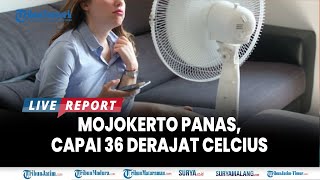 🔴 MOJOKERTO PANAS SURABAYA CENDERU SEJUK Info Cuaca Jatim Selasa 17 September 2024 [upl. by Renzo]