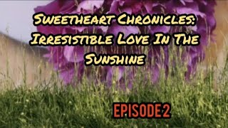 Sweetheart Chronicles Irresistible Love In The Sunshine🪶Episode 2 [upl. by Ahsiemat]