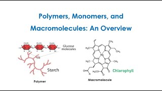 Principles of Polymer Chemistry Monomers Polymers And Macromolecules An Overview Lect 1 [upl. by Amandie41]