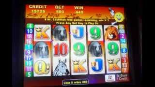 Mr Cash Man African Dusk MAX BET slot machine Free spin bonus [upl. by Trevethick]