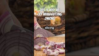 Why do Onions make us cry onion oniontears onioncuttingtears mindfulljourneys onioncutting [upl. by Elokyn]