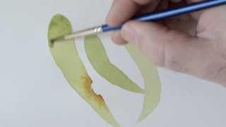 Botanical Art Tutorial  Tea Wash [upl. by Marris603]