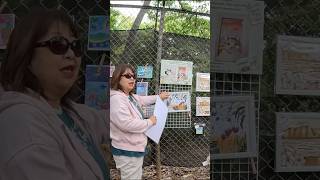 Mika of Pono Art at Art on the Zoo Wall does Cat amp Dog Portraits She has Kidney Failure [upl. by Erodavlas]