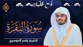 سورة البقرة كاملة القارئ الشيخ ياسر الدوسري 🌹🕋Surat AlBaqarah Quran Recitation [upl. by Rraval]