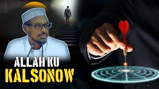 HA ISLIIDIN ALLAH KU KALSOONOOW  SHEEKH MUSTAFE  HIGASHO [upl. by Erdnael]