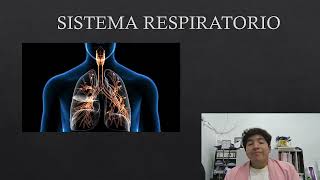 SISTEMA RESPIRATORIO [upl. by Ocramed171]