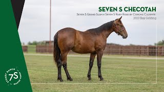 2023 Bay Gelding Seven S Checotah  Hip 21 [upl. by Neo]