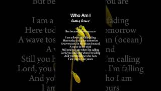 Who Am I by Casting Crowns [upl. by Ecnerol846]