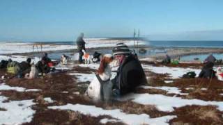 Vinter NM Andøya 20072010 [upl. by Sarazen]