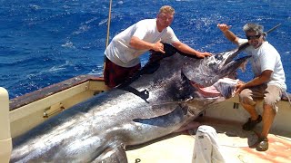 Amazing Fastest Giant Bluefin Tuna and Swordfish Fishing skill  Most Satisfying Sea Fishing Videos [upl. by Ydnil299]