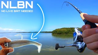 ULTRA Clear Water Fishing The NLBN 3quot Paddle Tail  Gheenoe LT25 [upl. by Onateyac]