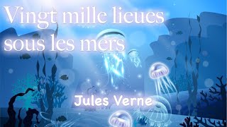 Vingt mille lieues sous les mers Partie 1 chapitre 7 Une baleine despèce inconnue Jules Verne [upl. by Elvis520]