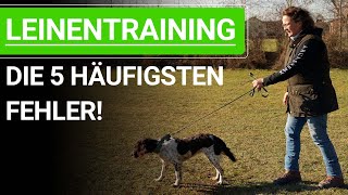 🐶 Vermeide diese 5 häufigsten Fehler beim Hunde Leinentraining ➡️ Praxisvideo 🐶✔️ [upl. by Acim]