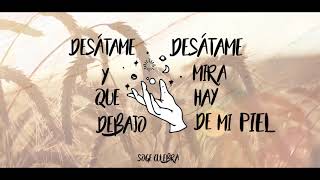 SOGE  DESÁTAME LYRIC VIDEO [upl. by Nawotna150]