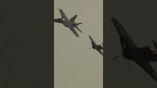 The Rhino and the Bearcat Epic Pass  Perfect Light aviation military airshow ⚡️ ⚡️ ⚡️ [upl. by Lucien]