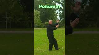 La forme de la Terre 31è posture nature martialarts taichichuan [upl. by Scandura248]