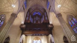 Saint Patricks Cathedral  Curbed Tours [upl. by Aiciram]