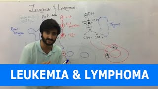 Leukemia  Overview  Classification [upl. by Ashjian]