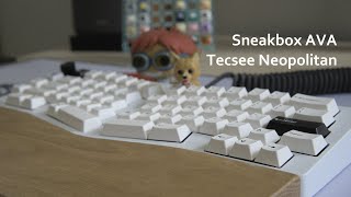 Tecsee Neopolitan Switches  Sneakbox AVA Typing Sound Test Keyboard [upl. by Nanci]