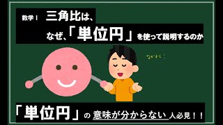 （数学苦手な人向け）なぜ、単位円を扱うのか。【数学Ⅰ三角比】 [upl. by Nyrehtak445]