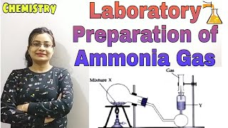 Laboratory Preparation of Ammonia GasAmmonia Class10 ICSE Chem Semester2 Boards Offline [upl. by Diahann880]