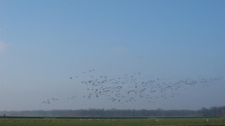 Weerbericht donderdagochtend Veel zonneschijn [upl. by Pirali]