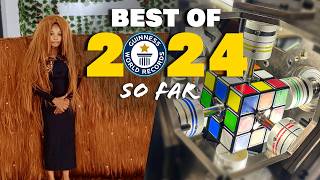 BEST OF 2024 so far Guinness World Records [upl. by Naik848]