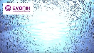 Evonik in three minutes  Evonik [upl. by Koosis926]