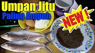 Umpan Ikan Bandeng Tambak Paling Jitu Dan Ampuh [upl. by Anihtyc]