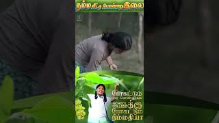 இன்னைக்கு நீ பரிட்சை எழுத போக கூடாது போனா கொன்னுடுவே  Tamil Movie Scenes  Tamil School Movies [upl. by Ymmak]