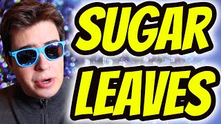 BEST Ways To Use Sugar Leaves [upl. by Akinor]