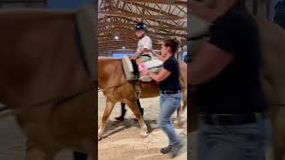 Physical therapy for cerebral palsy horse physicaltherapy shorts wheelchairlife [upl. by Lianne]