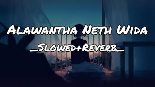 Alawantha Neth Wida Slowed  Reverb [upl. by Aslin]