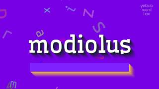 MODIOLUS  How to pronounce Modiolus [upl. by Areip67]