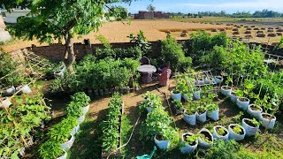 Beautiful Colorful and Bountiful Container Vegetable Garden Tour [upl. by Roobbie]