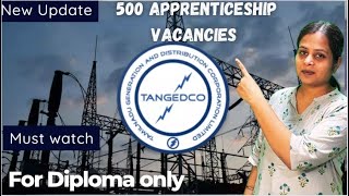 TANGEDCO JOB FOR DIPLOMA STUDENTS  ELECTRICAL  EC  CSE  IT  MECH  CIVIL [upl. by Gagnon739]