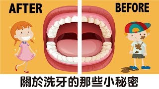 【秒懂牙科】關於洗牙的那些小秘密 [upl. by Yerffoj424]