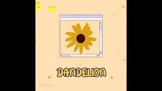 Dandelion ruth b song cover by Anchal Rani [upl. by Estevan]