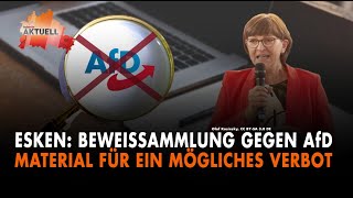 Esken für Beweissammlung gegen AfD [upl. by Lamoree782]