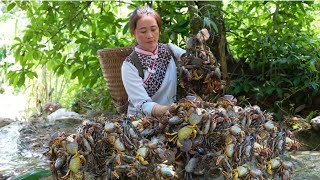 Vang Hoa goes into the green forest to earn money to cure stage 2 liver disease for zon [upl. by Fairbanks34]